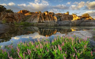 Картинка Arizona, облака, Prescott, озеро, Аризона, скалы, Watson lake, США, цветы, отражение