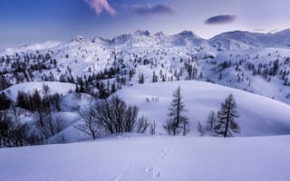 Картинка зима, снег, деревья, горы, Slovenia, следы, Словения, плато