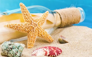 Картинка лето, ракушки, пляж, песок, seashells
