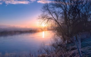Картинка река, ранняя весна, туман, деревья, утро
