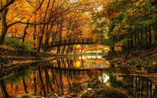 Обои осень, деревья, мост, парк, река