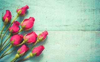 Картинка цветы, розы, wood, roses, spring, fresh, розовые, beautiful, pink, бутоны, flowers