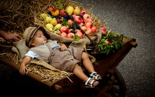 Картинка мальчик, фрукты, коляска