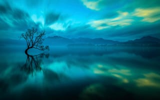 Картинка озеро, Wanaka, New Zealand, дерево