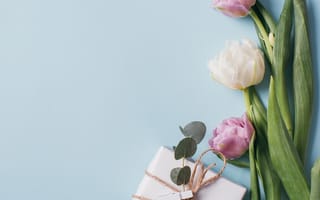 Картинка цветы, подарок, тюльпаны, весна
