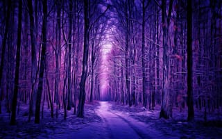 Картинка winter forest, digital painting, лес, зима
