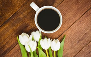 Картинка цветы, кофе, coffee, букет, чашка, белые, wood, tulips, тюльпаны, white, cup, flowers