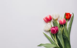 Картинка цветы, букет, colorful, pink, wood, тюльпаны, romantic, flowers