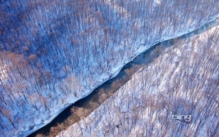 Картинка Virginia, США, лес, зима, снег, река