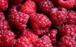 Картинка ягоды, малина, raspberry