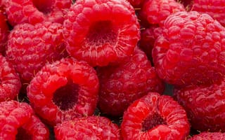 Картинка ягоды, малина, raspberry