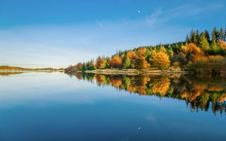 Картинка национальный парк Дартмур, Англия, водохранилище, вода, графство Девон, зима, деревья, лес, Великобритания, небо, Январь, отражения