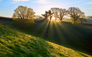 Картинка Англия, Великобритания, Апрель, графство Девон, лучи, утро, свет, трава, роса, весна