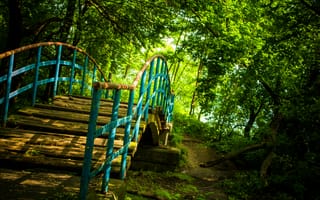Картинка мост, лес, природа