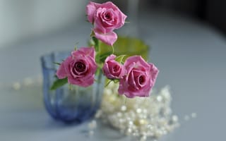 Картинка ваза, розы, цветы, розовые