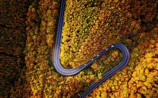 Картинка лес, машина, дорога, вид сверху, дервья, природа, осень