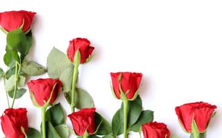 Обои любовь, romantic, wood, roses, red, букет, красные, цветы, flowers, розы