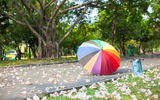 Картинка лето, colorful, flowers, park, summer, парк, зонт, umbrella, rainbow