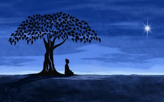 Картинка дерево, медитация, звезда, Ночь
