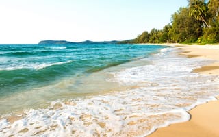 Обои песок, пляж, море, солнце, beach, волны, tropical, palms, paradise, лето, summer, sea, sand, пальмы