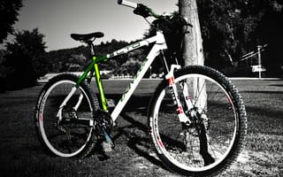 Картинка Велосипед, черно-белый фон, дерево