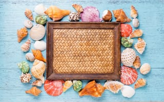 Картинка ракушки, summer, marine, composition, starfish, seashells, wood