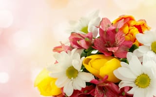 Картинка цветы, хризантемы, альстромерия, тюльпаны