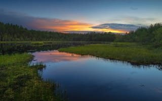 Картинка лес, небо, облака, отражение, трава, природа, закат, пейзаж