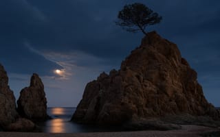 Картинка Тосса-де-Мар, Испания, Коста Брава, лунный свет, ночь