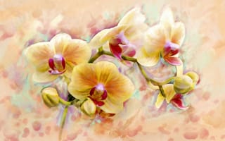 Картинка flower, орхидеи, красотой, блещут, orchid, формы, оригинальностью, сказочной, цветочек, цветок, настолько, арт