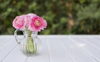 Картинка цветы, букет, пионы, розовые, ваза