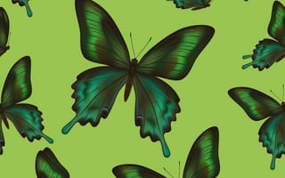 Обои текстура, бабочки, butterflies, texture