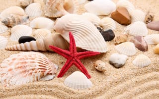 Картинка пляж, stones, камешки, жемчужина, star, песок, ракушки, pearl, звезда, sand, shells, beach