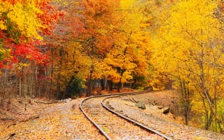 Картинка осень, деревья, рельсы