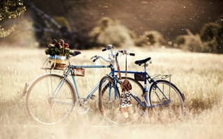 Картинка цветы, трава, растения, разное, велик, колеса, велосипеды, боке, день, цветочки, деревья, bicycle, bokeh, зелень, природа, размытие, корзинка
