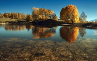 Картинка озеро, пейзаж, деревья, природа