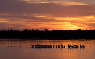 Картинка лес, небо, свет, закат, пейзаж, облака, природа, солнце