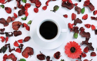 Картинка цветы, чашка, flowers, floral, frame, лепестки, coffee, cup, petals, кофе