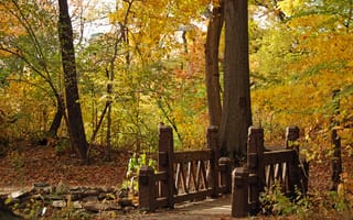 Картинка resize, природа, осень, пейзаж, bridge, парк, мост, wood