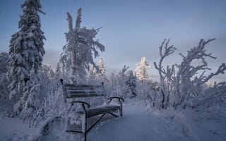 Картинка Чёрная скала, зима, снег, Таганай, скамья, национальный парк