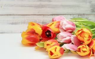 Картинка цветы, colorful, wood, beautiful, flowers, тюльпаны, tulips, fresh