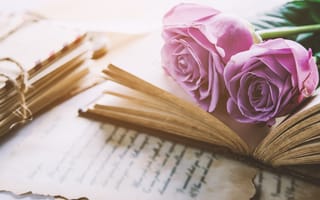 Картинка цветы, розы, букет, love, vintage, flowers, книга, romantic