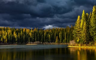 Картинка осень, лес, тучи, небо, берег, свет, ёлочка, ели