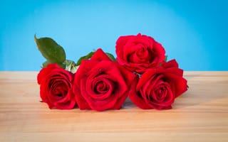 Картинка цветы, розы, бутоны, red, красные, romantic, roses, wood, bud, букет, flowers