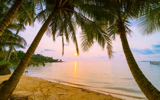 Картинка песок, море, закат, пляж, берег, волны, лето, summer, sea, beach, sand, sunset, пальмы, paradise, seascape, beautiful