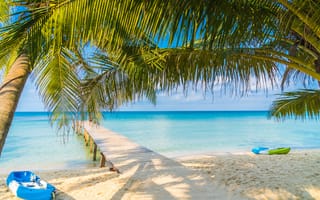 Картинка песок, seascape, beach, море, волны, paradise, summer, лето, tropical, sea, берег, beautiful, пальмы, sand, пляж, palms