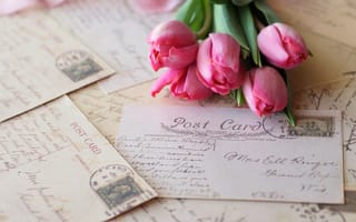 Картинка тюльпаны, розовые, цветы, открытки, письма, винтаж, марки