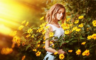 Картинка девочка, лето, солнце, цветы