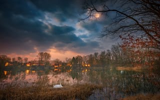 Картинка закат, лебеди, озеро