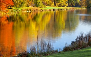 Картинка Autumn park, озеро, trees, landscape, природа, lake, reflected, деревья, красочные деревья, Осенний парк, пейзаж, отражение, colorful trees, красивая сцена, beautiful scene, nature